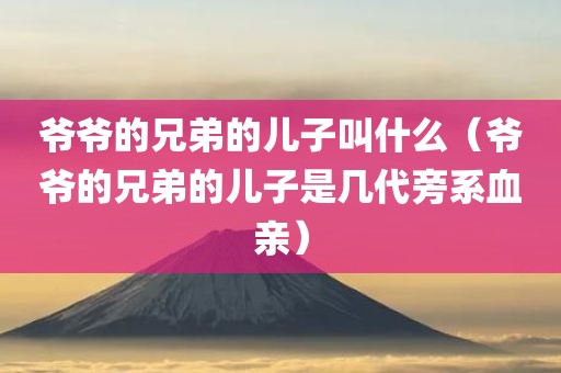 爷爷的兄弟的儿子叫什么（爷爷的兄弟的儿子是几代旁系血亲）
