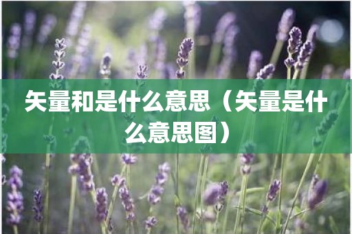 矢量和是什么意思（矢量是什么意思图）