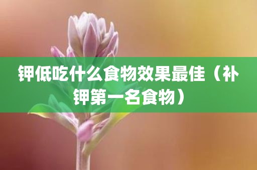 钾低吃什么食物效果最佳（补钾第一名食物）