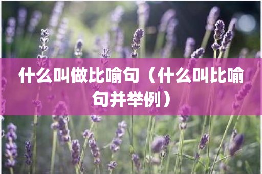 什么叫做比喻句（什么叫比喻句并举例）