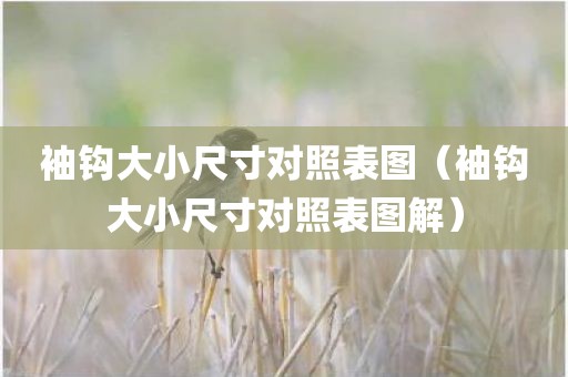 袖钩大小尺寸对照表图（袖钩大小尺寸对照表图解）