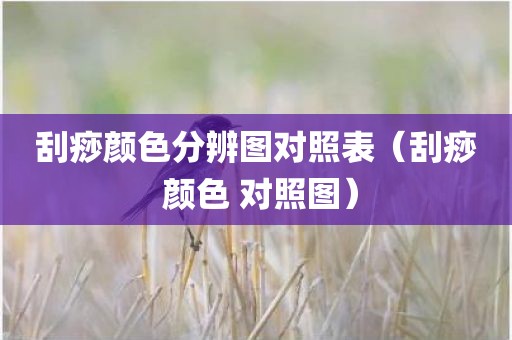 刮痧颜色分辨图对照表（刮痧 颜色 对照图）