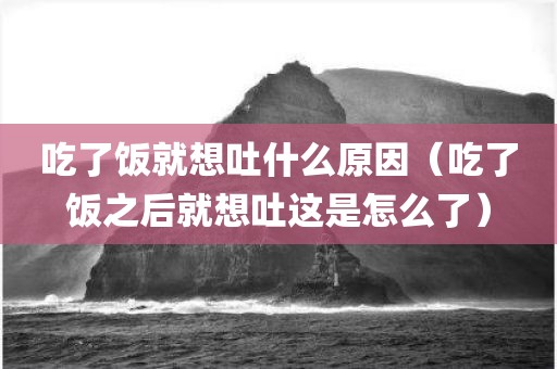 吃了饭就想吐什么原因(吃了饭之后就想吐这是怎么了) 吃了饭就想吐什么原因(吃了饭之后就想吐这是怎么了)