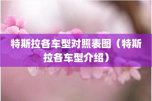 特斯拉各车型对照表图（特斯拉各车型介绍）