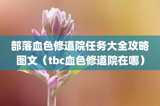 部落血色修道院任务大全攻略图文（tbc血色修道院在哪）
