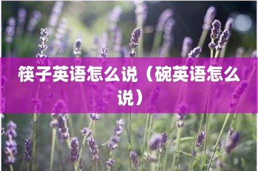 筷子英语怎么说（碗英语怎么说）