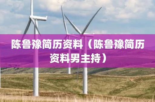 陈鲁豫简历资料（陈鲁豫简历资料男主持）