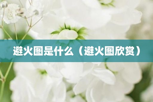 避火图是什么（避火图欣赏）