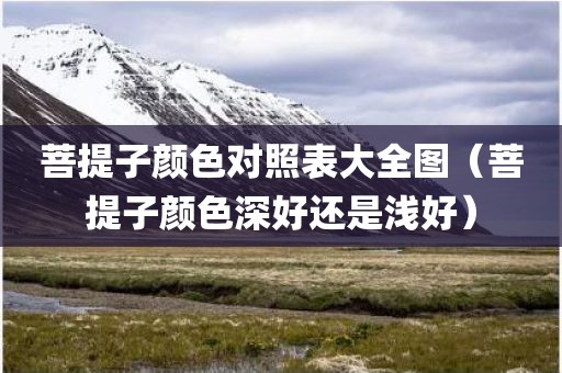 菩提子颜色对照表大全图（菩提子颜色深好还是浅好）