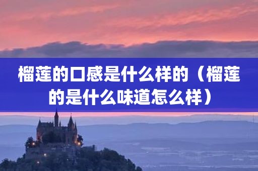 榴莲的口感是什么样的（榴莲的是什么味道怎么样）