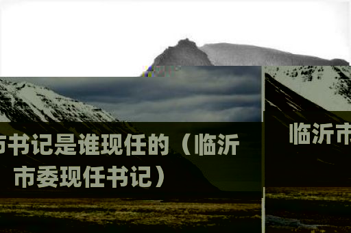 临沂市书记是谁现任的（临沂市委现任书记）