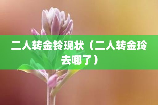 二人转金铃现状（二人转金玲去哪了）