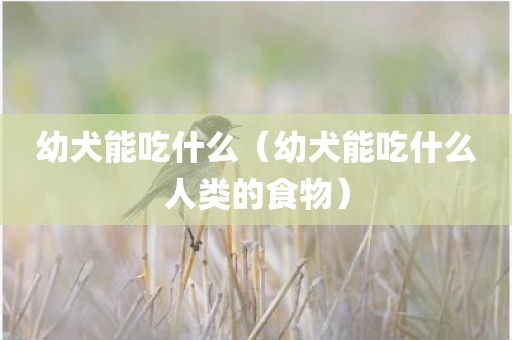 幼犬能吃什么（幼犬能吃什么人类的食物）