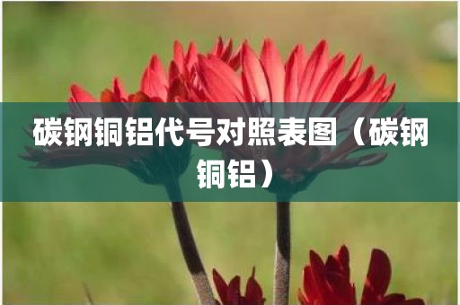 碳钢铜铝代号对照表图（碳钢 铜铝）