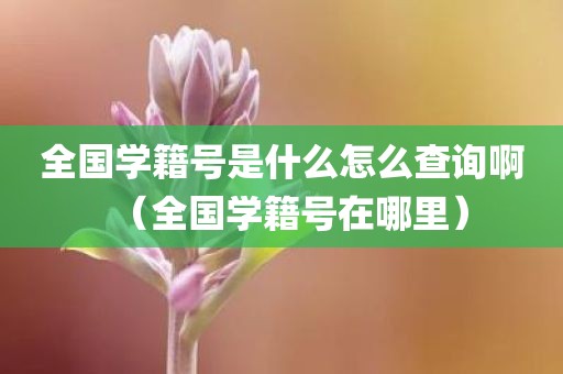 全国学籍号是什么怎么查询啊（全国学籍号在哪里）