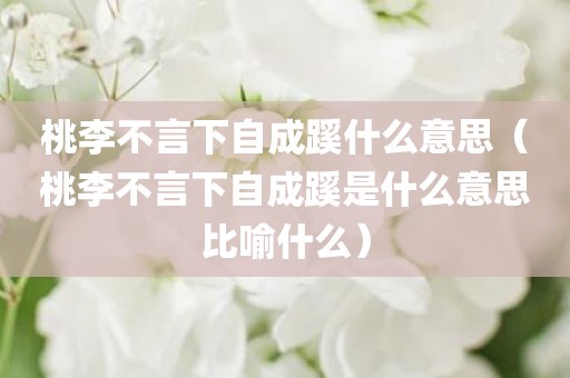 桃李不言下自成蹊什么意思（桃李不言下自成蹊是什么意思比喻什么）