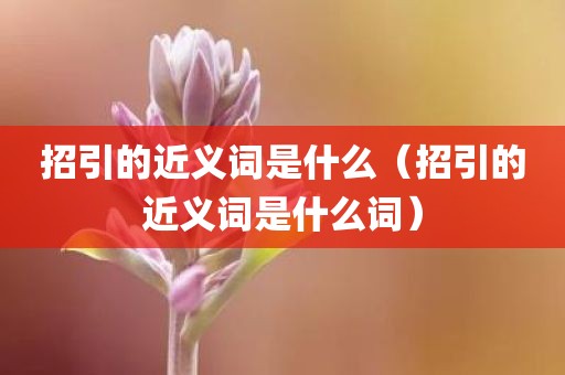 招引的近义词是什么(招引的近义词是什么词)