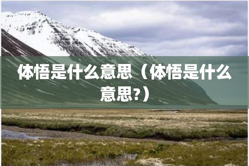 体悟是什么意思（体悟是什么意思?）