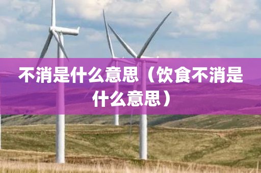不消是什么意思（饮食不消是什么意思）