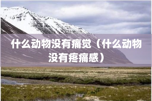 什么动物没有痛觉（什么动物没有疼痛感）