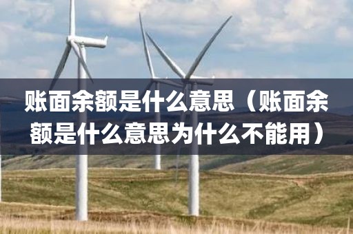 账面余额是什么意思（账面余额是什么意思为什么不能用）