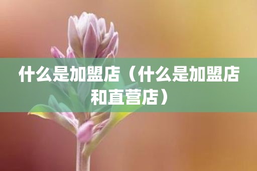 什么是加盟店（什么是加盟店和直营店）