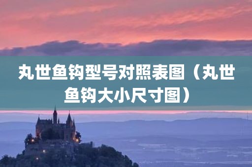 丸世鱼钩型号对照表图（丸世鱼钩大小尺寸图）