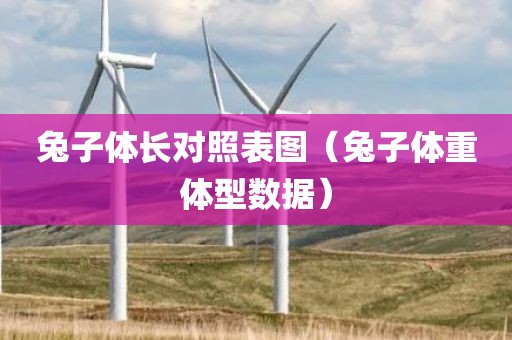 兔子体长对照表图（兔子体重体型数据）