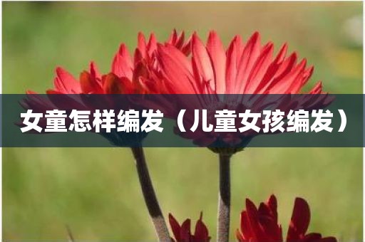 女童怎样编发（儿童女孩编发）