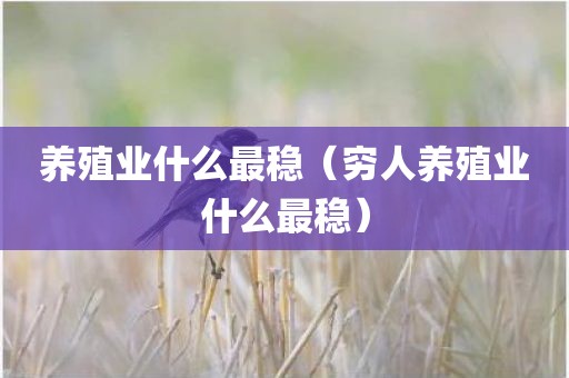 养殖业什么最稳（穷人养殖业什么最稳）