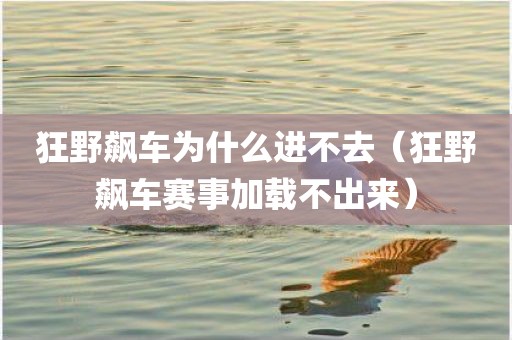 狂野飙车为什么进不去（狂野飙车赛事加载不出来）