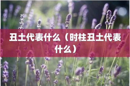 丑土代表什么(时柱丑土代表什么)