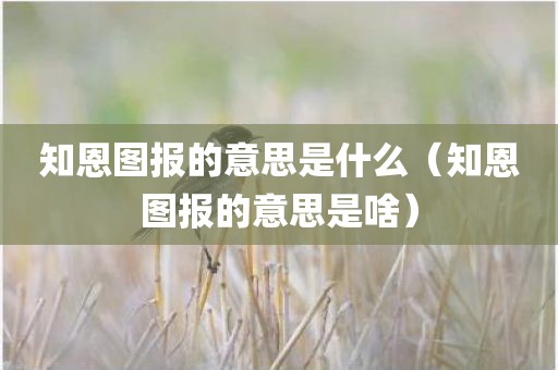 知恩图报的意思是什么（知恩图报的意思是啥）