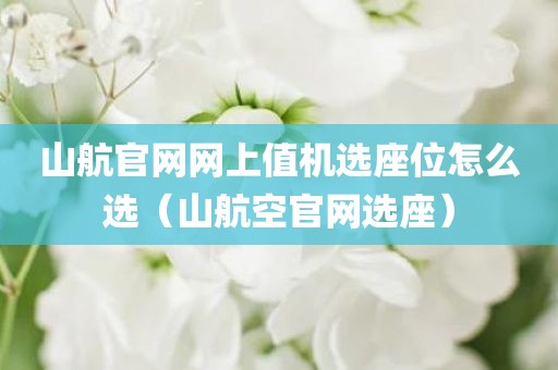 山航官网网上值机选座位怎么选（山航空官网选座）