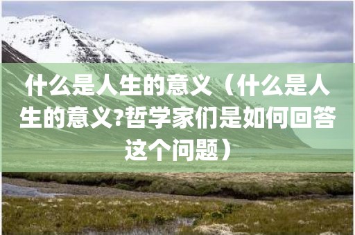 什么是人生的意义（什么是人生的意义?哲学家们是如何回答这个问题）