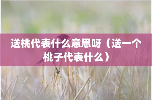 送桃代表什么意思呀(送一个桃子代表什么)