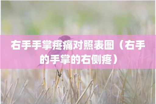 右手手掌疼痛对照表图（右手的手掌的右侧疼）