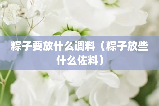 粽子要放什么调料(粽子放些什么佐料)