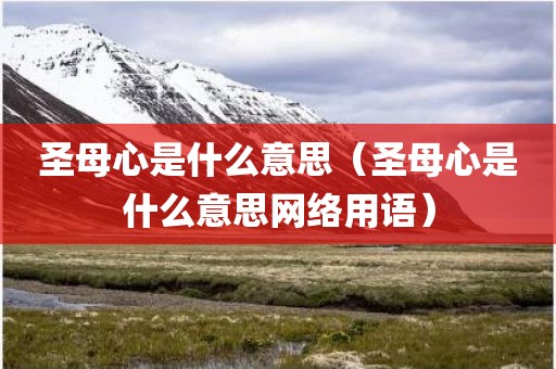 圣母心是什么意思（圣母心是什么意思网络用语）