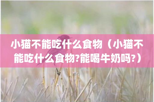 小猫不能吃什么食物（小猫不能吃什么食物?能喝牛奶吗?）