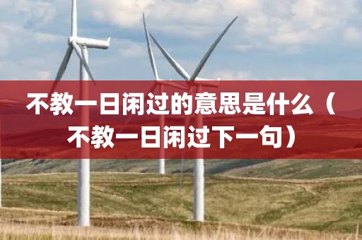 不教一日闲过的意思是什么（不教一日闲过下一句）
