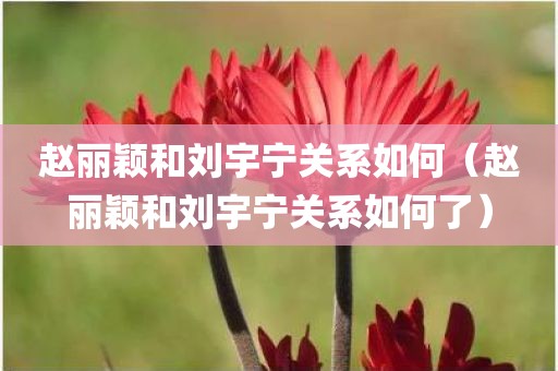 赵丽颖和刘宇宁关系如何（赵丽颖和刘宇宁关系如何了）