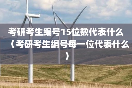 考研考生编号15位数代表什么（考研考生编号每一位代表什么）