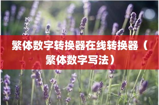 繁体数字转换器在线转换器（繁体数字写法）