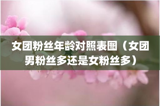女团粉丝年龄对照表图（女团男粉丝多还是女粉丝多）