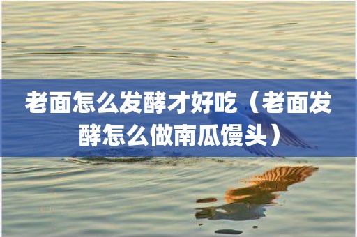 老面怎么发酵才好吃（老面发酵怎么做南瓜馒头）