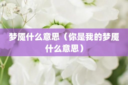 梦魇什么意思（你是我的梦魇什么意思）
