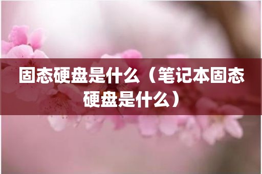 固态硬盘是什么(笔记本固态硬盘是什么)