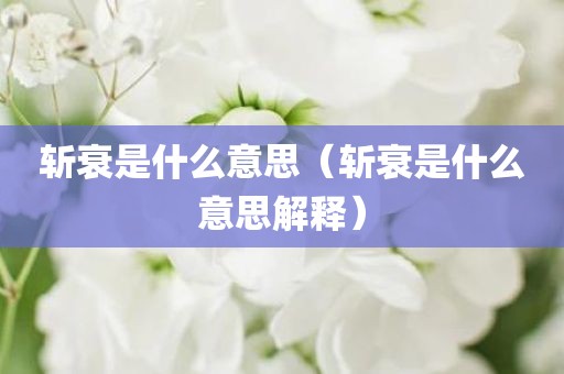 斩衰是什么意思（斩衰是什么意思解释）