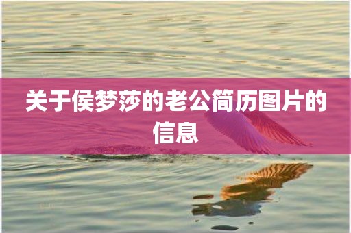 关于侯梦莎的老公简历图片的信息